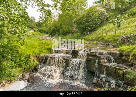 Ettersgill Beck cascata, Teesdale superiore in tarda primavera Foto Stock