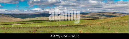 Superiore Panorama Teesdale, Cronkley cicatrice, Widdybank cadde e Harwood in primavera Foto Stock