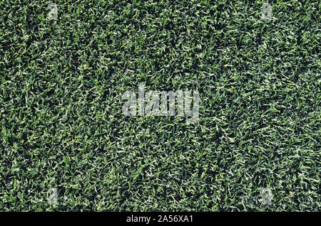 Campo da gioco turf in angoli diversi e con diversi colori e linee. Foto Stock