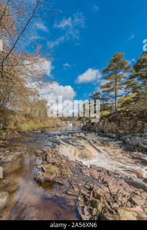 Primavera a bassa forza cascata, Teesdale, da del The Pennine Way Foto Stock