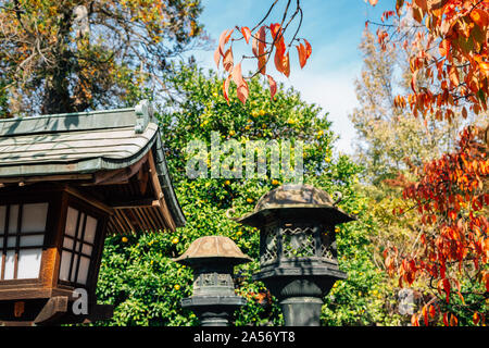 Al Santuario di Toshogu giapponese lampada tradizionale con foglie di autunno presso il parco Ueno a Tokyo in Giappone Foto Stock