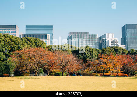 Est del Palazzo Imperiale e i giardini e gli edifici moderni in autunno a Tokyo in Giappone Foto Stock