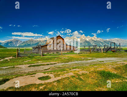 Il vecchio granaio di Mormon riga nel Parco Nazionale di Grand Teton. Foto Stock