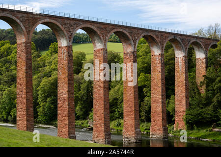 L'ora in disuso Leaderfood viadotto (noto anche come il viadotto Drygrange) in Scottish Borders. Foto Stock