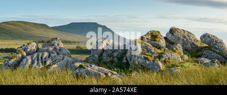 Ingleborough, uno di Yorkshire di 'Tre Cime", visto dalla valle Ribblehead. Foto Stock