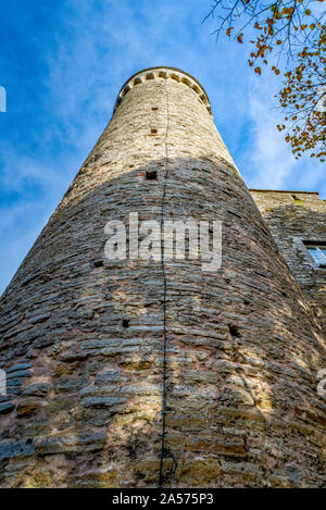 Alta torre di Hermann nella città vecchia di Tallinn in Estonia Foto Stock