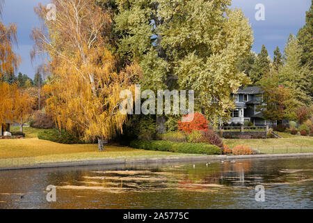 Willow, Aspen, e pioppi girare oro e rosso lungo il fiume Deschutes nel centro di curvatura, Oregon, in autunno durante la metà di ottobre. Foto Stock