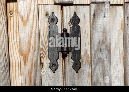 In acciaio inox cerniere della porta in legno porta a battente per l'interior design Foto Stock