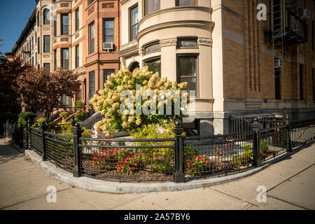 Scene di strada nella family-friendly, trendy Park Slope quartiere di Brooklyn a New York Sabato, 12 ottobre 2019. (© Richard B. Levine) Foto Stock