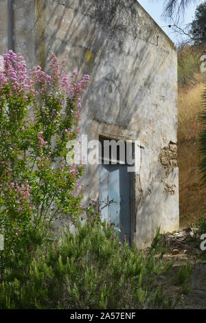 Scene da Tarrantola Hotel Agricola in un vigneto nella Sicilia centrale Foto Stock