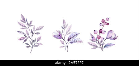 Acquerello mazzi di fiori viola set. Dipinte a mano e realistiche illustrazioni botaniche bundle. isolato su bianco fiori, foglie e bacche per matrimoni Foto Stock