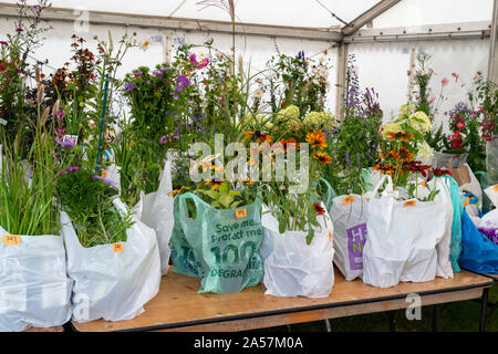 Fiori acquistati in sacchetti di plastica in attesa di essere raccolto uno spettacolo di fiori, UK Foto Stock