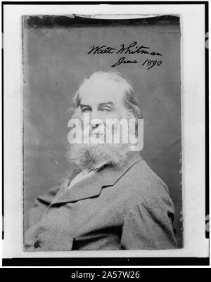 Walt Whitman come un uomo vecchio, mezza lunghezza verticale, posizionato a sinistra, rivolto verso la parte anteriore Foto Stock