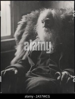 Walt Whitman, mezza lunghezza ritratto, insediato da finestra, rivolto verso sinistra Foto Stock
