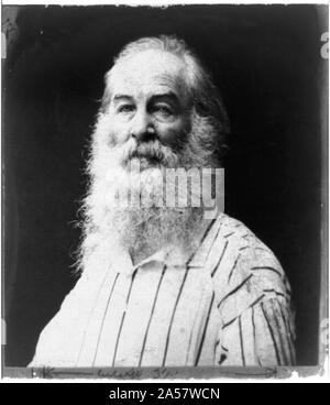 Walt Whitman, testa e spalle ritratto, rivolto verso sinistra Foto Stock