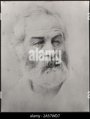 Walt Whitman, testa e spalle ritratto Foto Stock