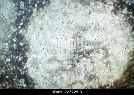 Abstract background in toni neutri di grunge texture sporca. Foto Stock