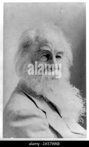 [Walt Whitman, testa e spalle ritratto, rivolto verso destra] Foto Stock