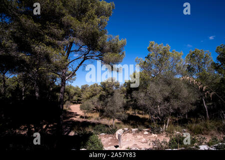 Cami de Cavalls sentiero costiero in Menorca, vicino alla città di Cala Galdana Foto Stock