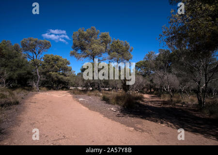 Cami de Cavalls sentiero costiero in Menorca, vicino alla città di Cala Galdana Foto Stock