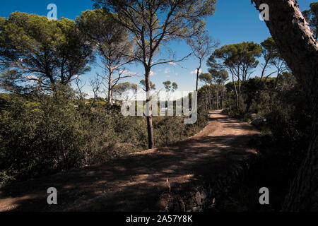 Cami de Cavalls sentiero costiero in Menorca, vicino alla città di Cala Galdana Foto Stock