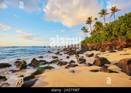 Spiaggia di Laniakea dal tramonto, Haleiwa, Hawaiian Isola Oahu, di O'ahu, Hawaii, Stato di Aloha, STATI UNITI D'AMERICA Foto Stock