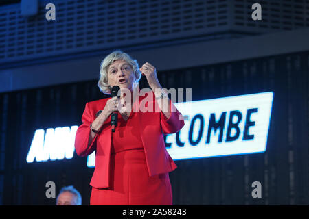 Ex ministro Tory Ann Widdecombe parlando durante una festa Brexit evento al QEII Centre di Londra. Foto Stock