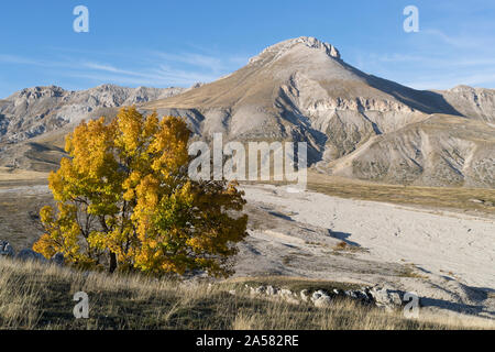 Fogliame autunnale del Gran Sasso e Monti della Laga Parco Nazionale in Italia Foto Stock