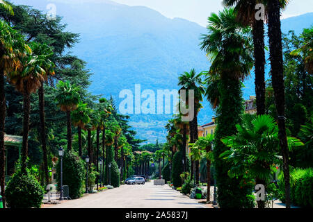 Paesaggio con strada in Arco città sul lago di Garda Foto Stock