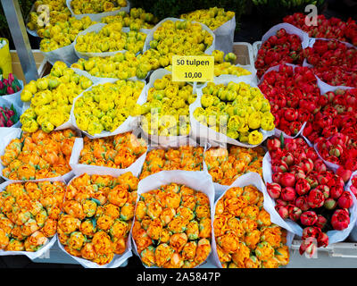 Arancione, giallo e tulipani rossi per la vendita al mercato, Amsterdam, Paesi Bassi Foto Stock