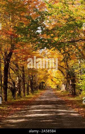 Paese desolato strada ha le foglie che cadono nella stagione autunnale di New York Foto Stock