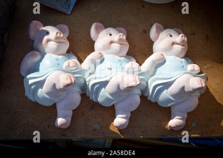 Questi tre piccoli maiali sono state scoperte nel bagagliaio di una vettura o di un furgone in vendita in Chirk. Foto Stock