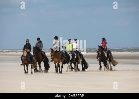 Passeggiata a cavallo sulla spiaggia di Langeoog (Germania) Foto Stock