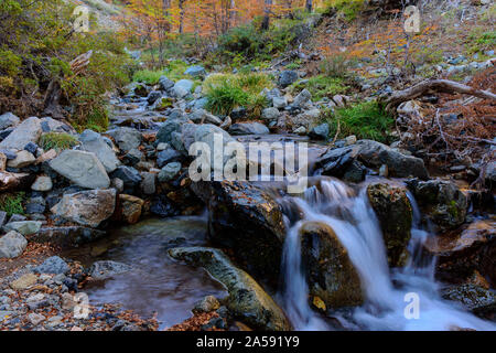 La cascata nel bosco con alberi colorati durante la stagione autunnale Foto Stock