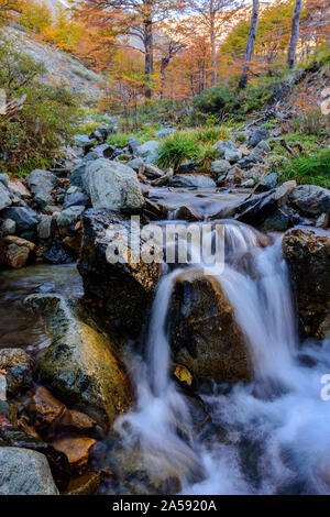 La cascata nel bosco con alberi colorati durante la stagione autunnale Foto Stock