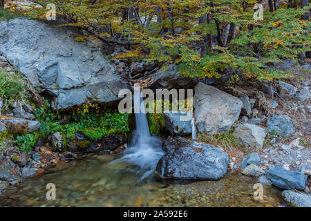 La cascata nel bosco con alberi colorati durante la stagione autunnale Foto Stock