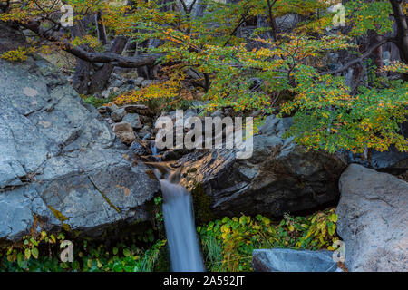 La cascata nel bosco con alberi colorati durante la stagione autunnale Foto Stock