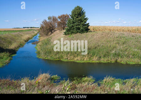Conversazione zona di buffer di erba e alberi tra il mais e la soia filtri campi d'acqua. Foto Stock
