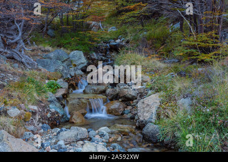 La cascata nel bosco con alberi colorati durante la stagione autunnale Foto Stock