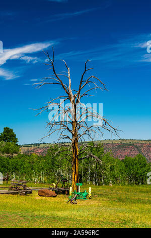 Flaming Gorge, Wyoming / Stati Uniti - Agosto 9, 2019: Swett Ranch National Historic Site, Swett Family Homestead Foto Stock