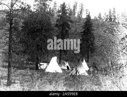 Edward S. Curtis nativi indiani americani - Tipis e una tenda sotto gli alberi in un accampamento di Spokane ca. 1910 Foto Stock