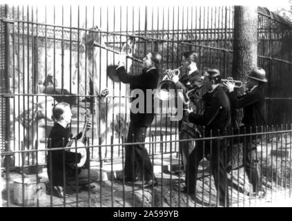 Jazz per gli orsi ca. 1920-1932 Foto Stock