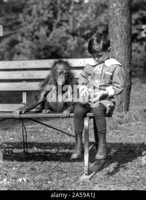 Ragazzo seduto con Orango Tango su banco presso lo Zoo Nazionale di Washington, D.C. ca. 1909-1932 Foto Stock