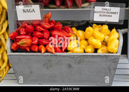 Peperoncino scotch cofani e peperoncino naga in un contenitore di legno. Foto Stock