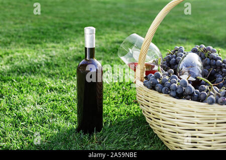 Bottiglia e due bicchieri di vino rosso e cesto di uva fresca raccolta sul prato, erba verde all'esterno. In casa la vinificazione del concetto. Degustazione di vini in vigna Foto Stock