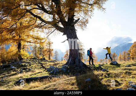 Madre che guarda il figlio che salta da una roccia su erba altopiano coperto in montagna e colorati di alberi di pino in autunno. Alpi Giulie , Slovenia Foto Stock