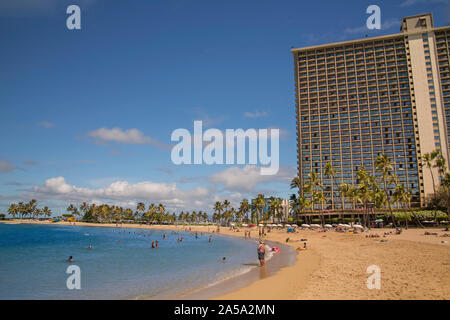 Spiaggia Kahanamoku, palme e la Hilton Rainbow Tower, Oahu, Hawaii. Foto Stock