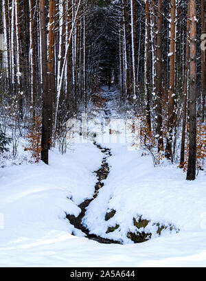 Un solitario per via navigabile si snoda giù nel bosco durante la stagione invernale e tutto è coperto di neve. La foresta sembra buio e cupo specialmente con la per Foto Stock