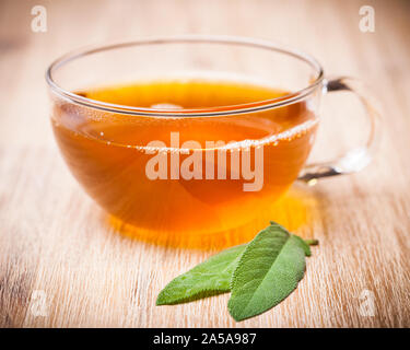 Piante di guarigione: salvia (Salvia officinalis) tè con due foglie Foto Stock