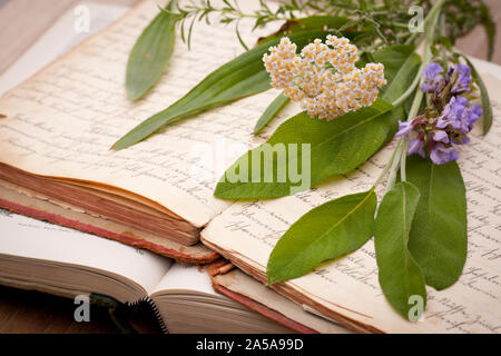 Libri antichi e piante medicinali Foto Stock